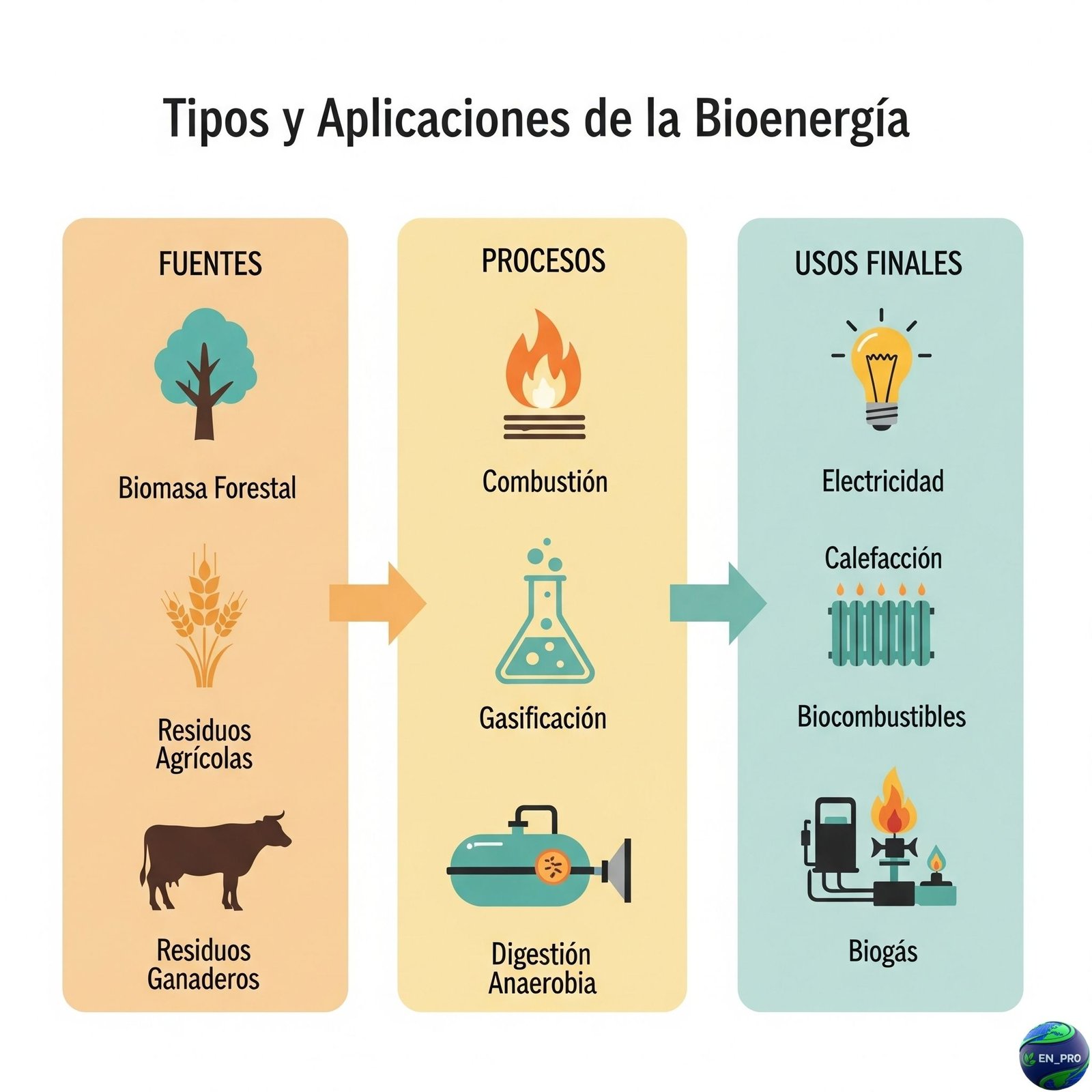 TIPOS DE BIOMASA: ORÍGENES Y CLASIFICACIÓN